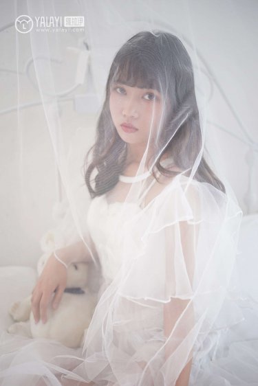 公安局长 电视剧